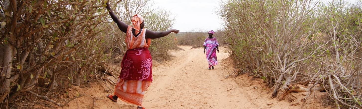 Takku Bey Senegal